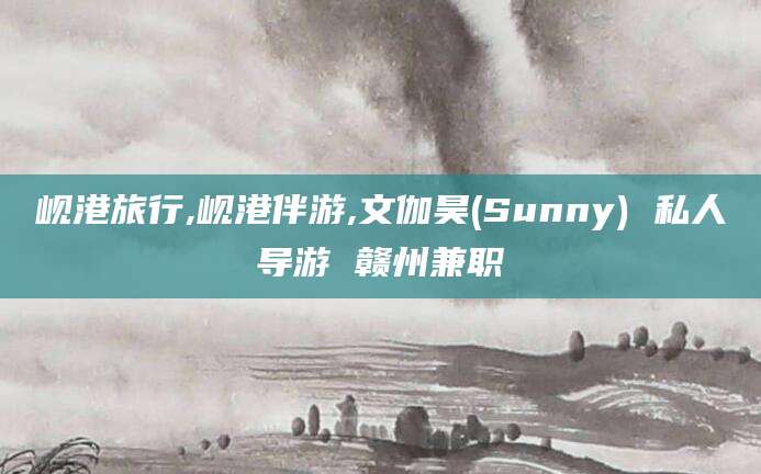 益阳岘港旅行,岘港伴游,文伽昊(Sunny) 私人导游 赣州兼职