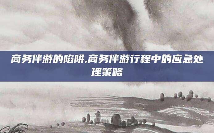 益阳商务伴游的陷阱,商务伴游行程中的应急处理策略